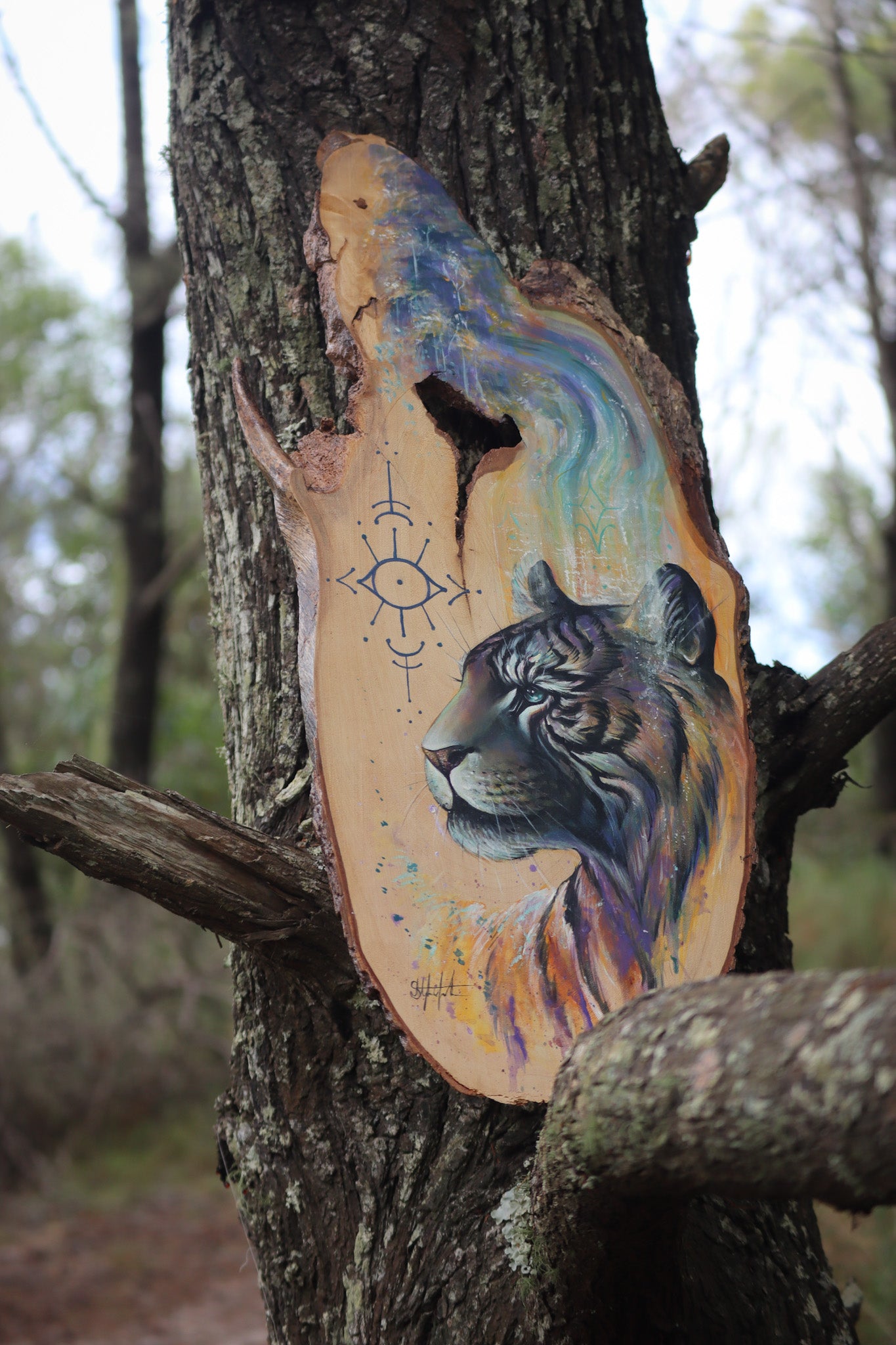 Tiger Guide on timber