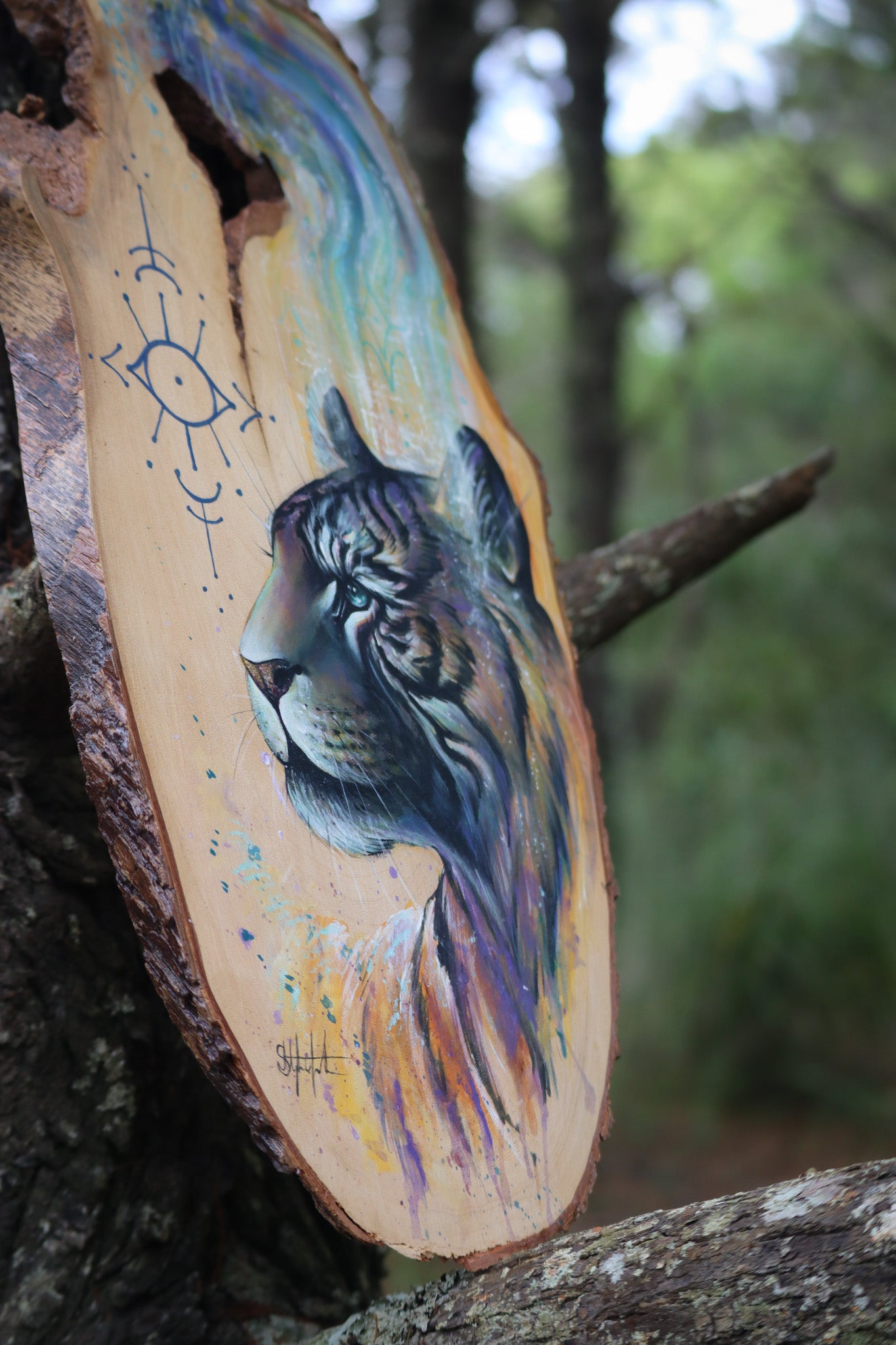 Tiger Guide on timber