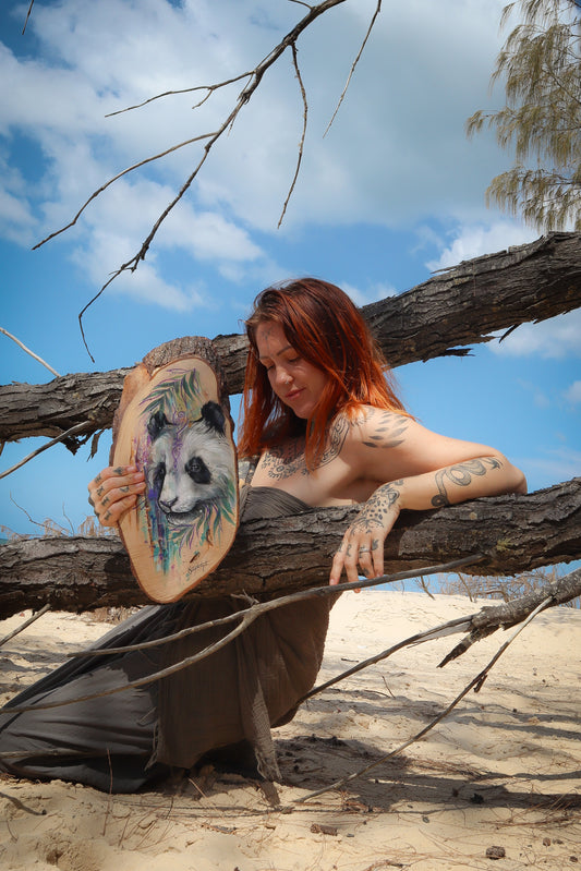 Panda Guide on timber