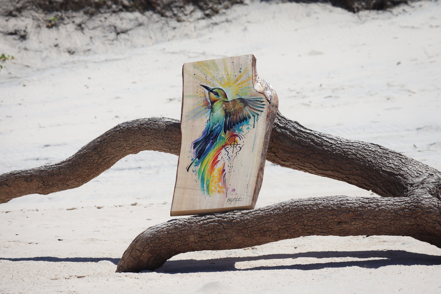 Rainbow Bee Eater Guide on timber