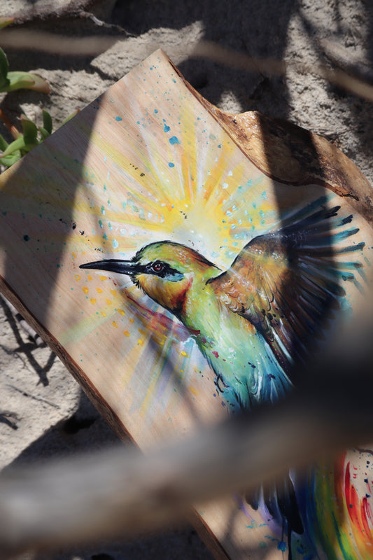 Rainbow Bee Eater Guide on timber