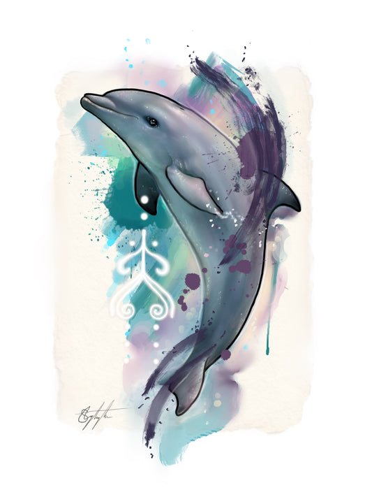 Dolphin Guide