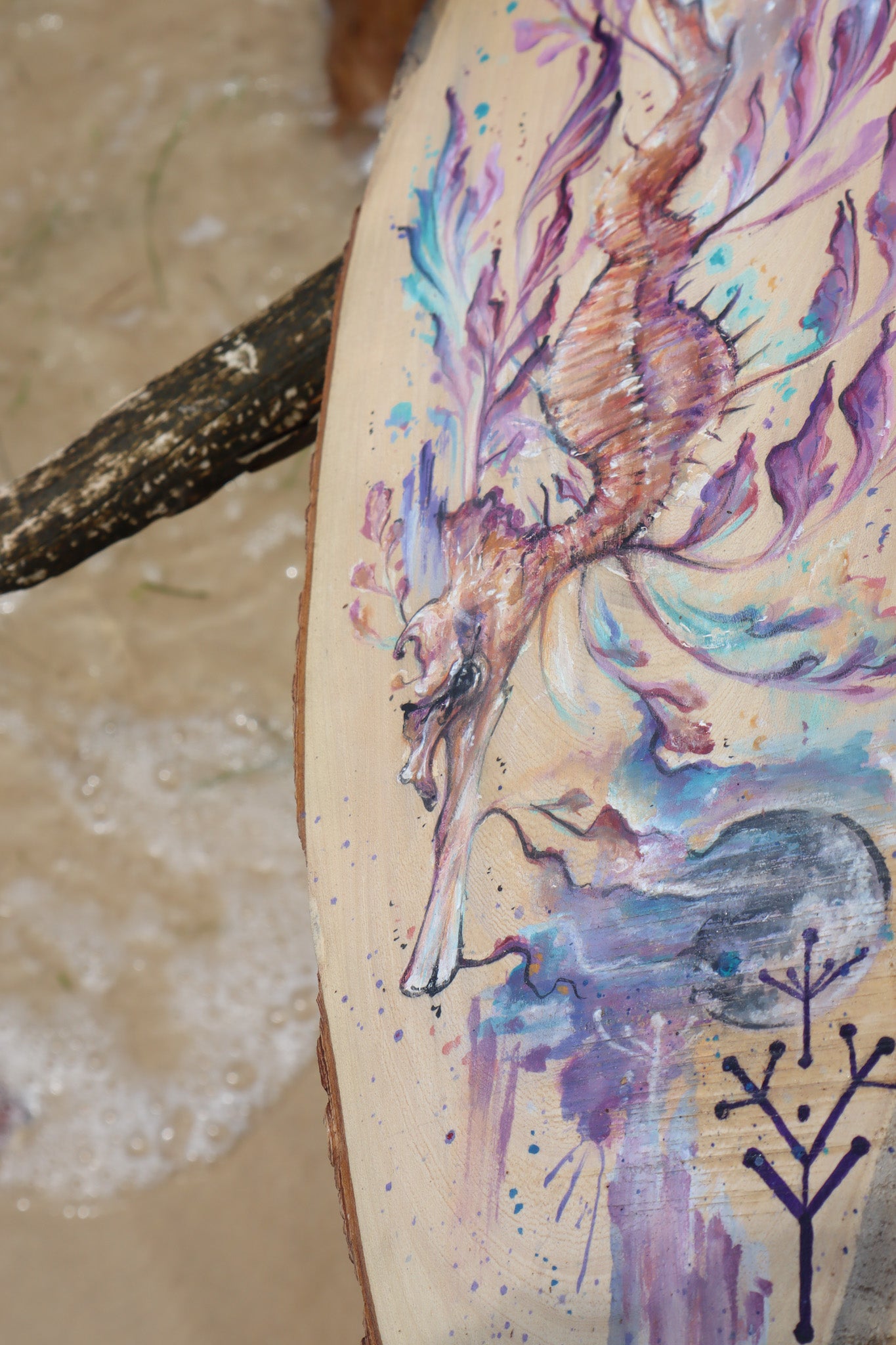 Leafy Sea Dragon Guide on timber
