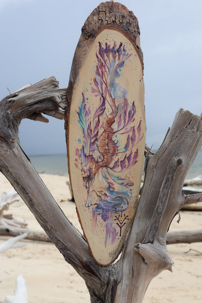 Leafy Sea Dragon Guide on timber