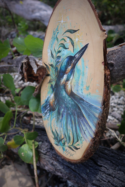 Kingfisher Guide on timber
