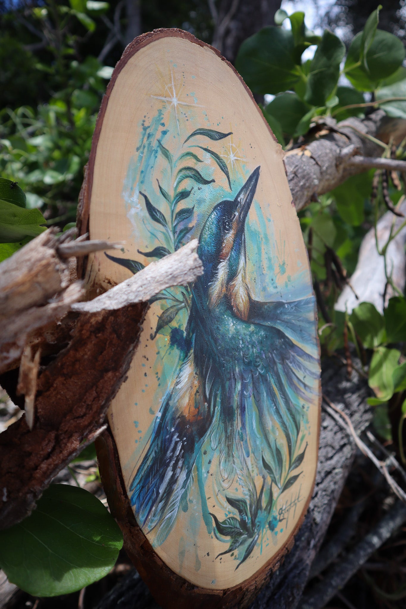 Kingfisher Guide on timber