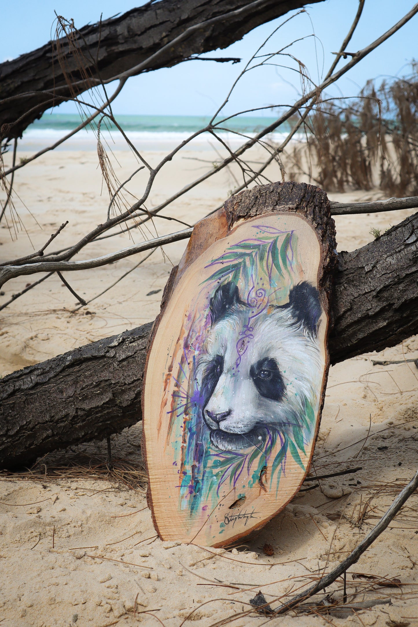 Panda Guide on timber