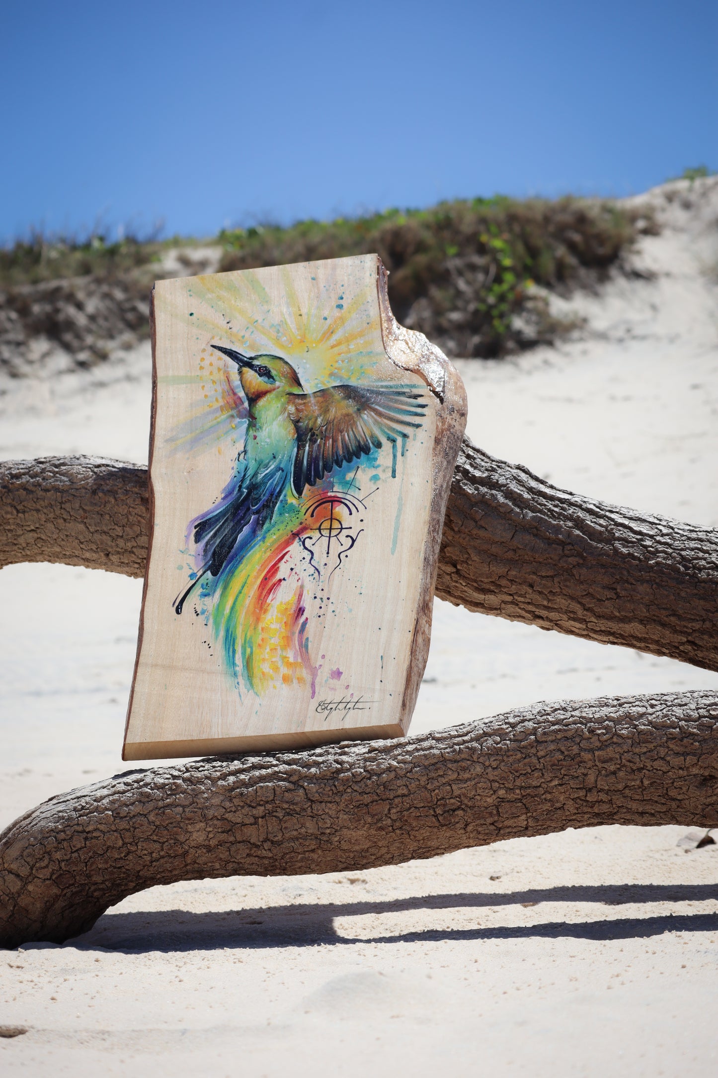 Rainbow Bee Eater Guide on timber