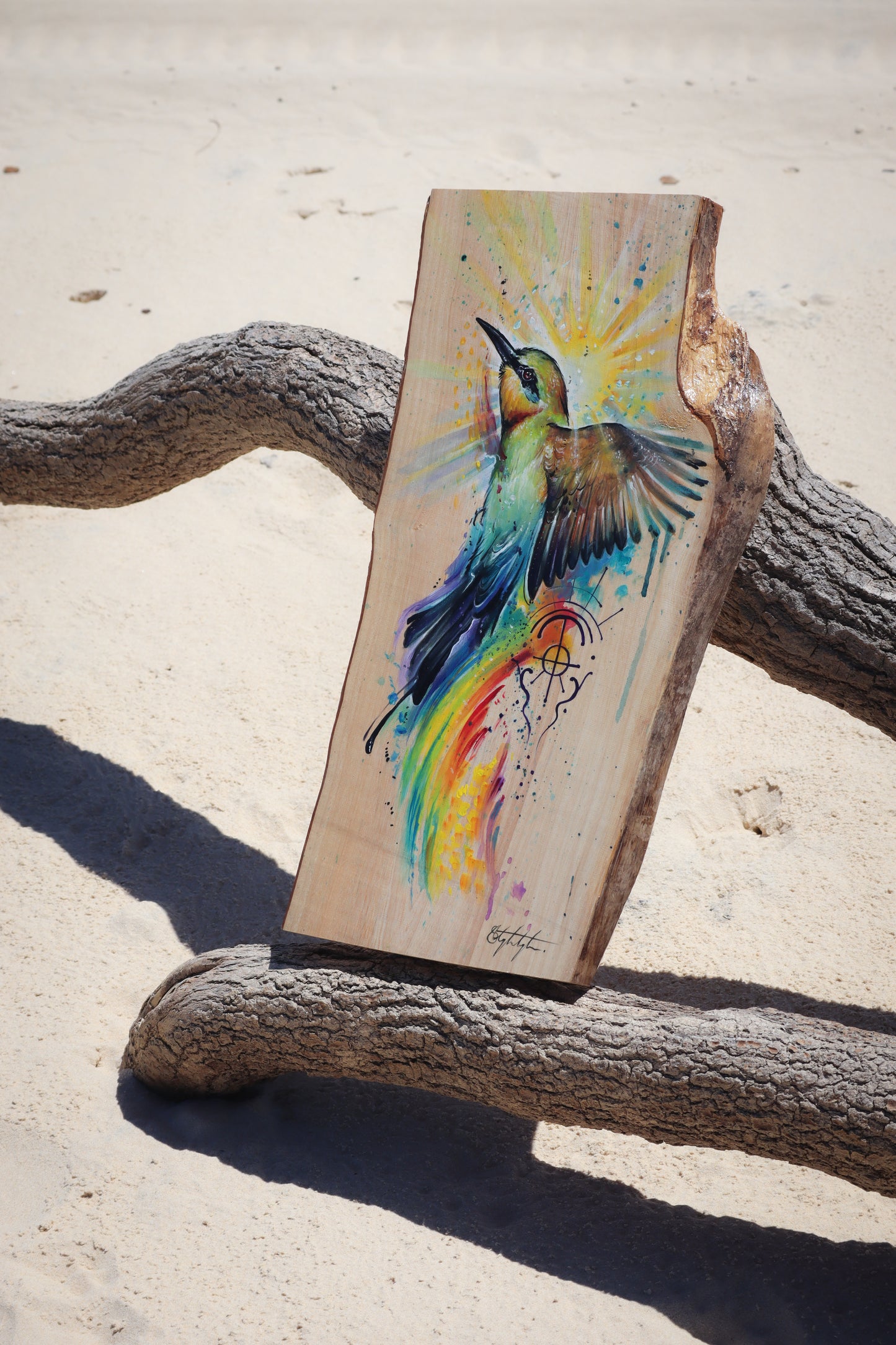 Rainbow Bee Eater Guide on timber