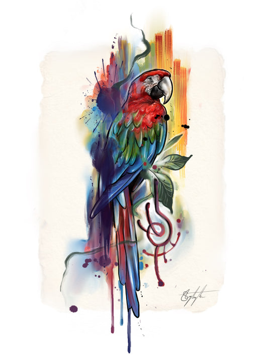 Parot Guide