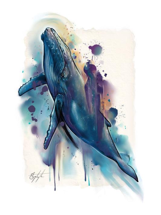 Whale Guide