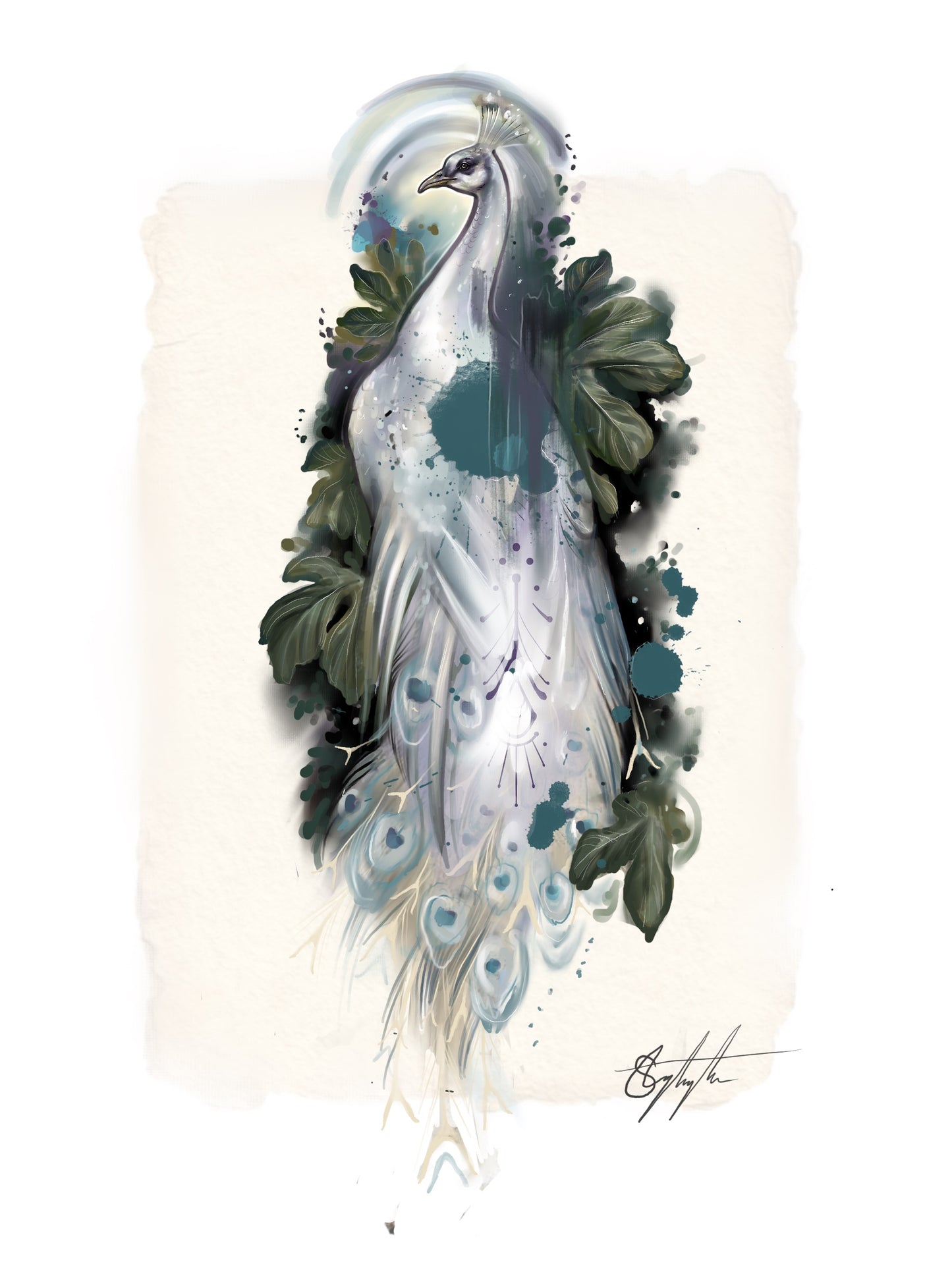 White Peacock